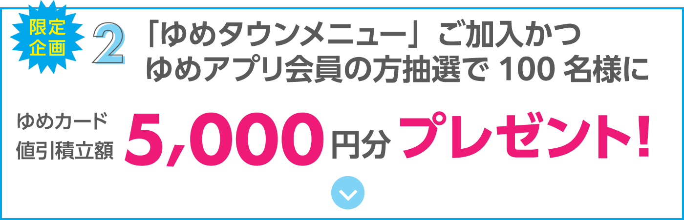 限定企画2